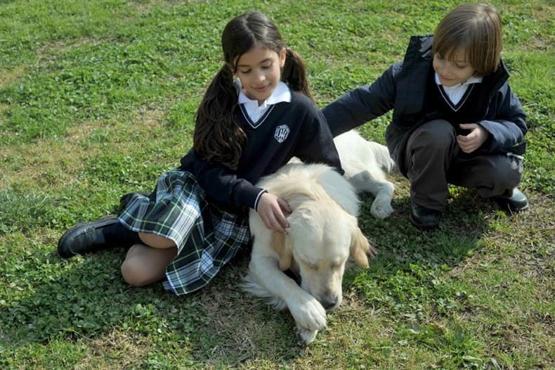 pertenencia a la comunidad educativa con uniformes escolares