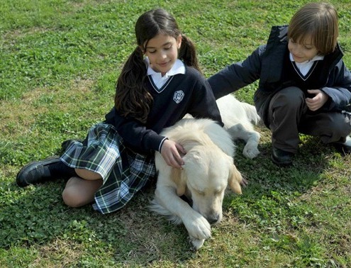 Cómo adaptar uniformes escolares en el crecimiento infantil