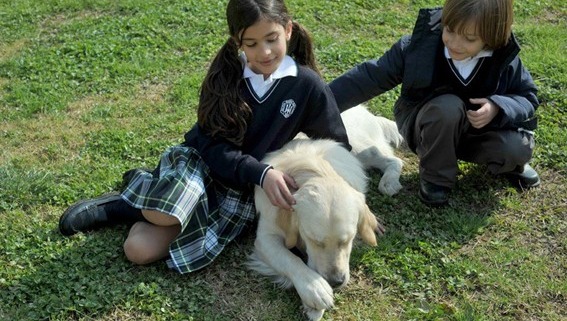 Cómo adaptar uniformes escolares en el crecimiento infantil